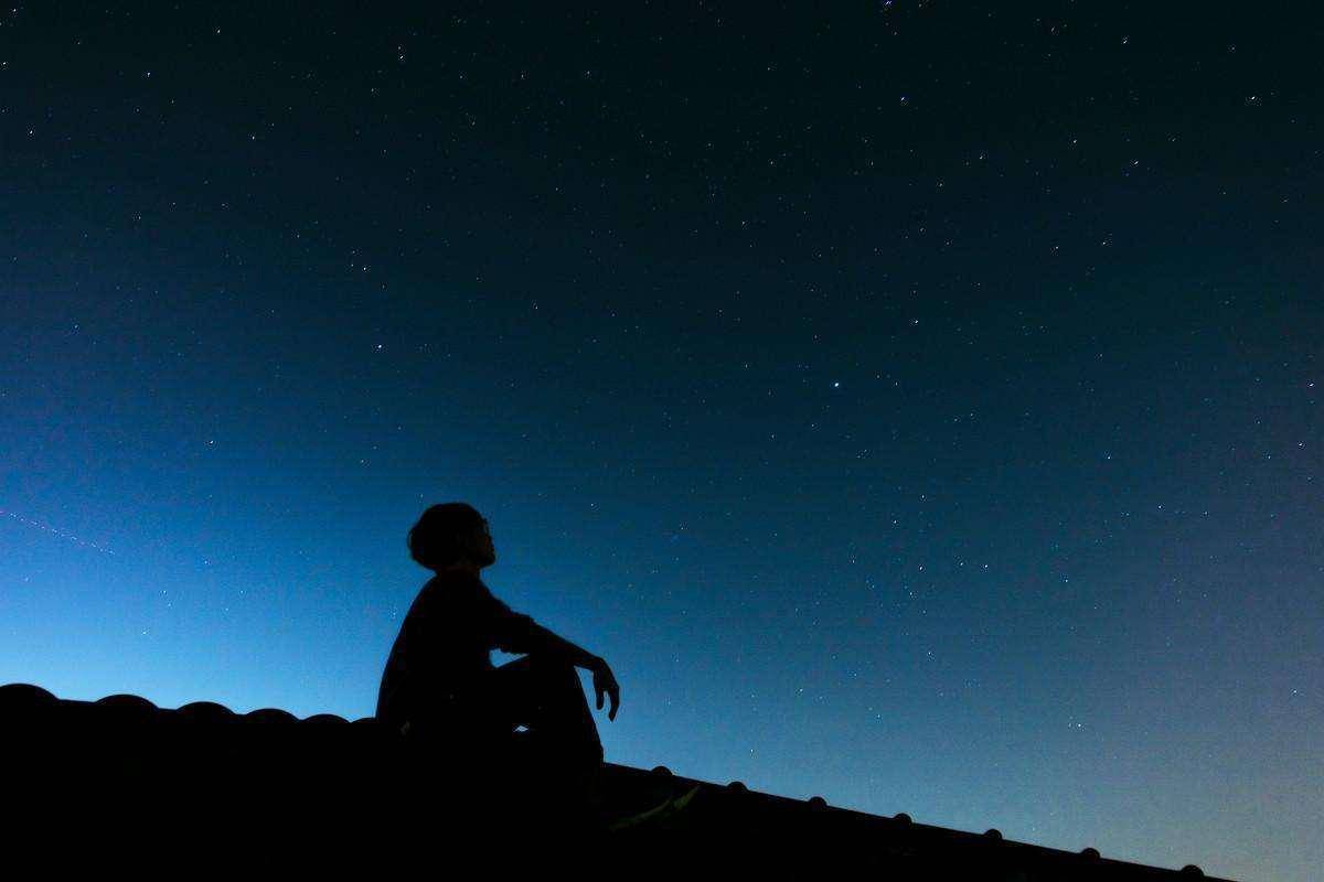 说文解字》第651课：成语“马首是瞻”的“瞻”是什么意思？_搜狐网