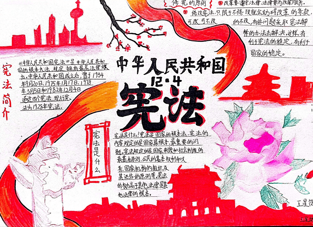 【宪法小卫士】“学宪法 讲宪法”风采展（11）