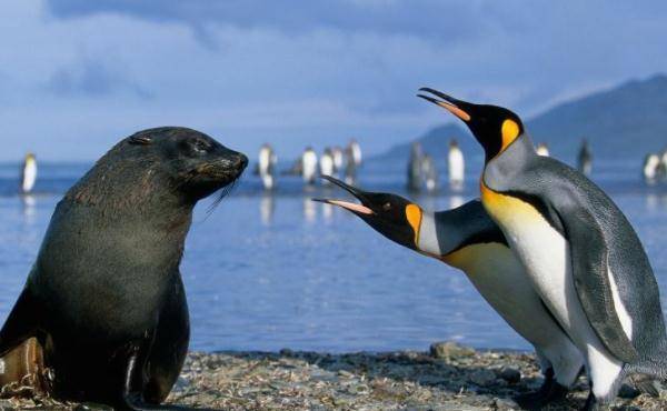 由于澳大利亚以自驾开车为主要交通方式,公共交通没有国内发达,所以