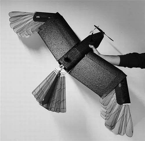 图为鸟形无人机,其中翅膀和尾部为可变形(伸展和收起)的人造羽毛.