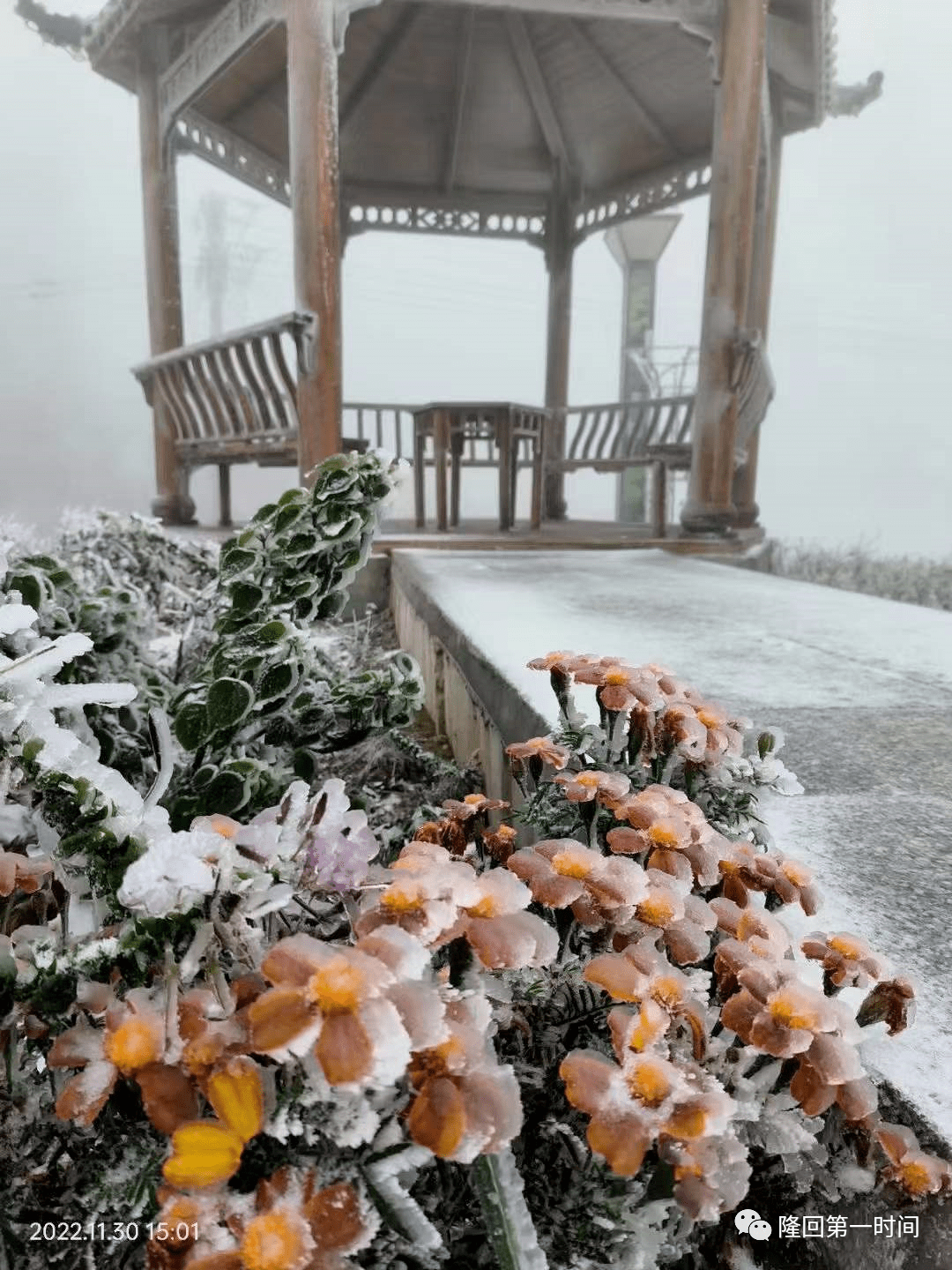 11月30日,隆回迎来2022年冬天的第一场雪!_娄底_怀化_湘西州