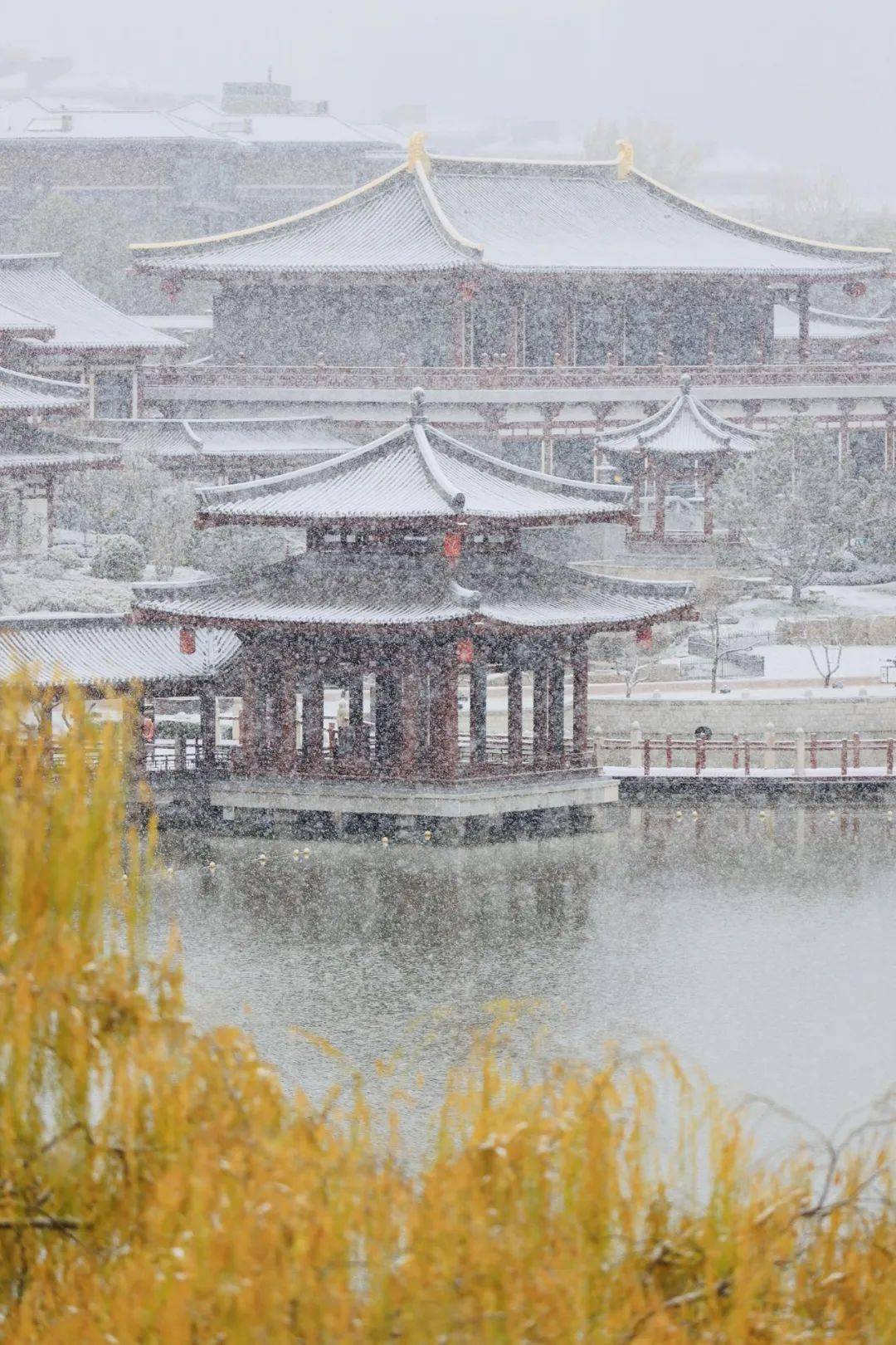 瑞雪长安 | 人间冬已至,初雪落长安_生活_雪花_大唐