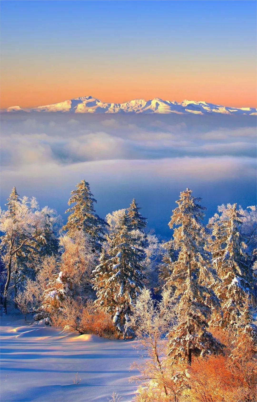 长白山_温泉群_瀑布