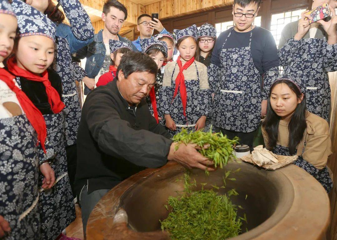 安吉白茶制作过程图片