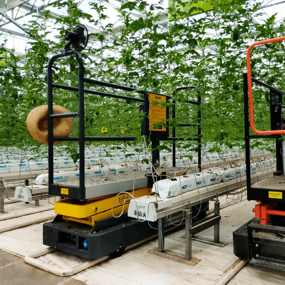 关注| 知名设施园艺企业亮相亚洲花卉园艺旗舰展,高质量新特优产品