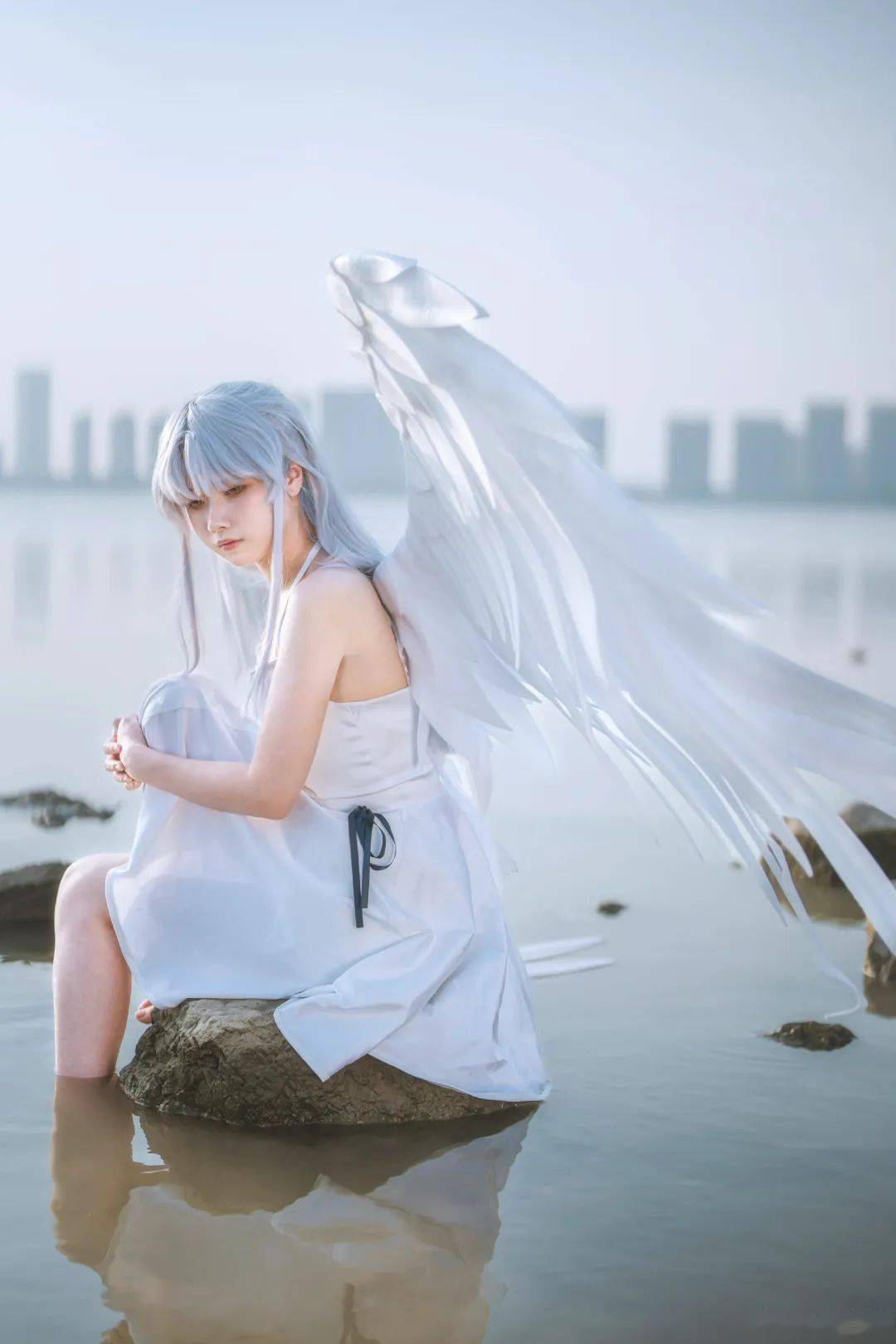 【二次元cos】白裙立华奏_版权_白鲸_公众