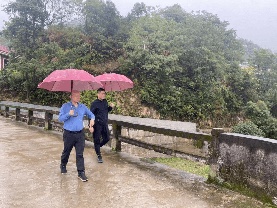 县领导林荣超到蓬莱镇宣讲党的二十大精神并调研_工作_防汛_人才