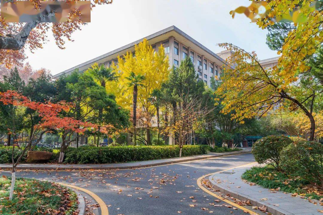 东南大学把培育国家战略人才力量的政策重心放在青年科技人才上,支持