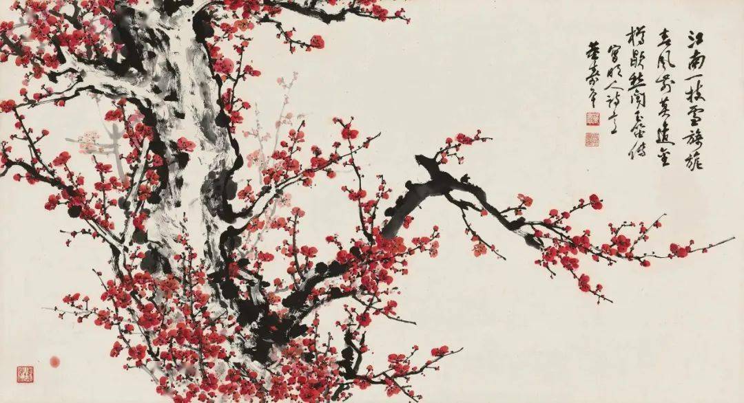 董寿平画梅花,取梅树的树杆与梅花的配合,然后表现了梅花的那一种傲寒