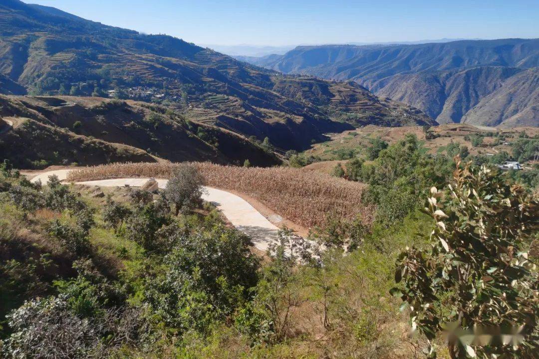 会理绿水镇阿拉村:道路通民心 旧路换新颜_产业_发展_乡村