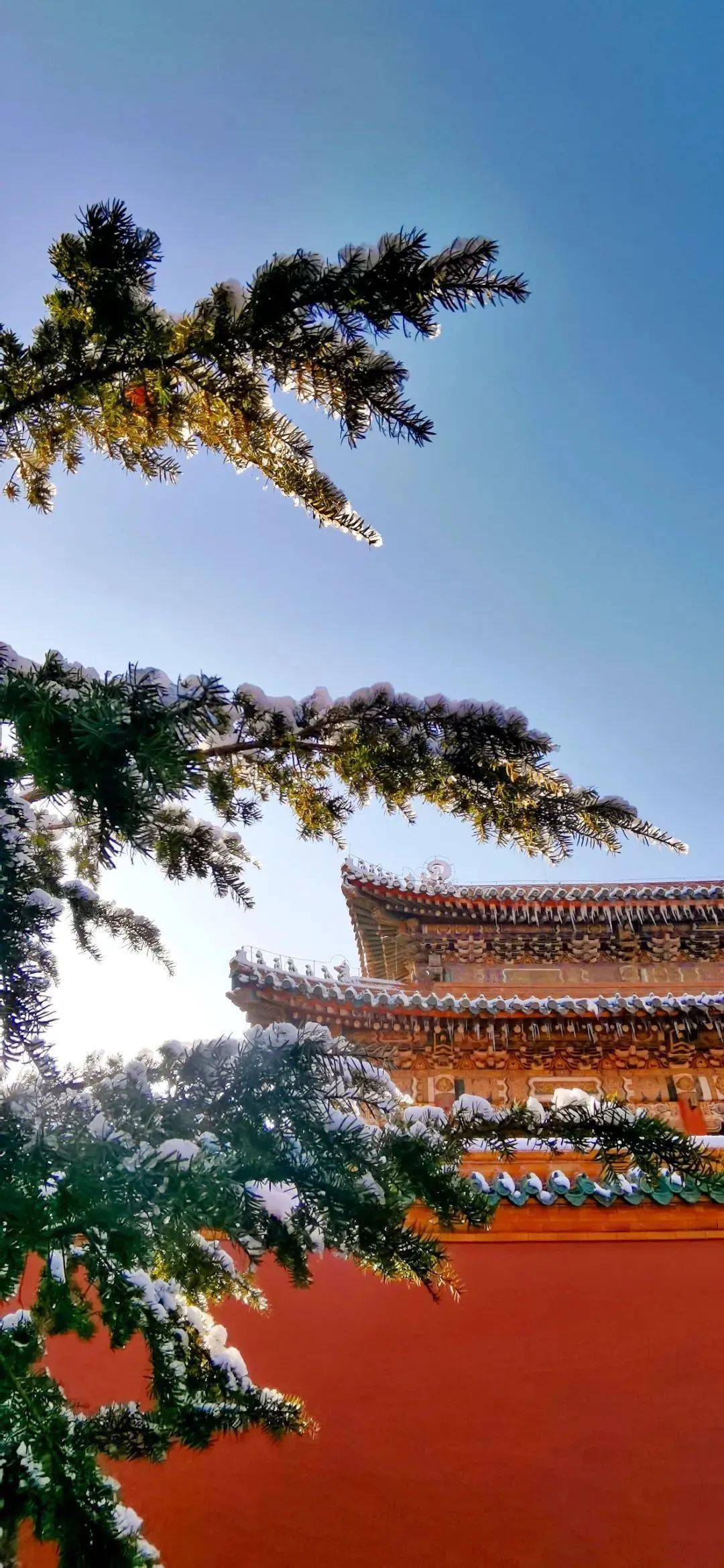 锦绣中华 | 沈阳故宫雪景美如画,一起沉浸式感受古人的冬日浪漫_皇宫