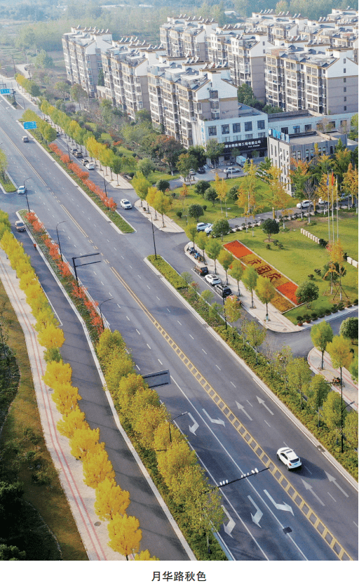 安徽凤阳:打造宜居县城,描绘城乡建设新画卷_改造_小区_工作