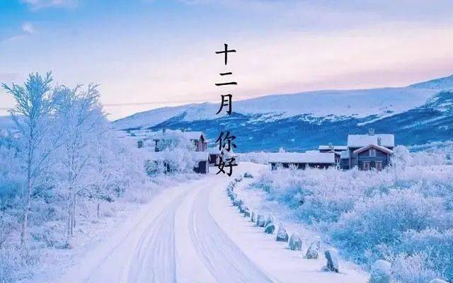 11月再见!男人一生都在寻找的_过往_生机_生命