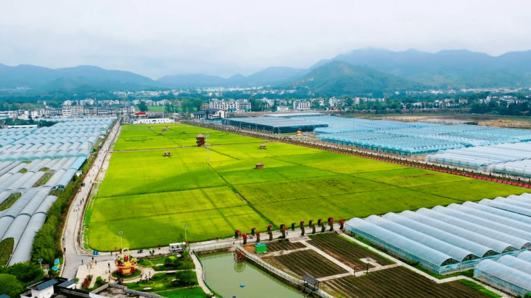 经济日报报道:新农村迈向现代化——江西于都梓山镇潭头村采访记_发展