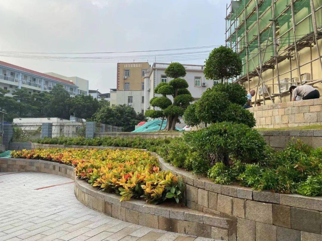 全国文明村 | 厦门海沧渐美村:新乡贤为城中村文明创建注入新活力