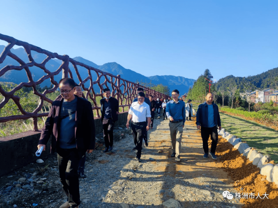 【乡镇人大】中村瑶族乡组织人大代表集中视察民生实事项目活动_建设