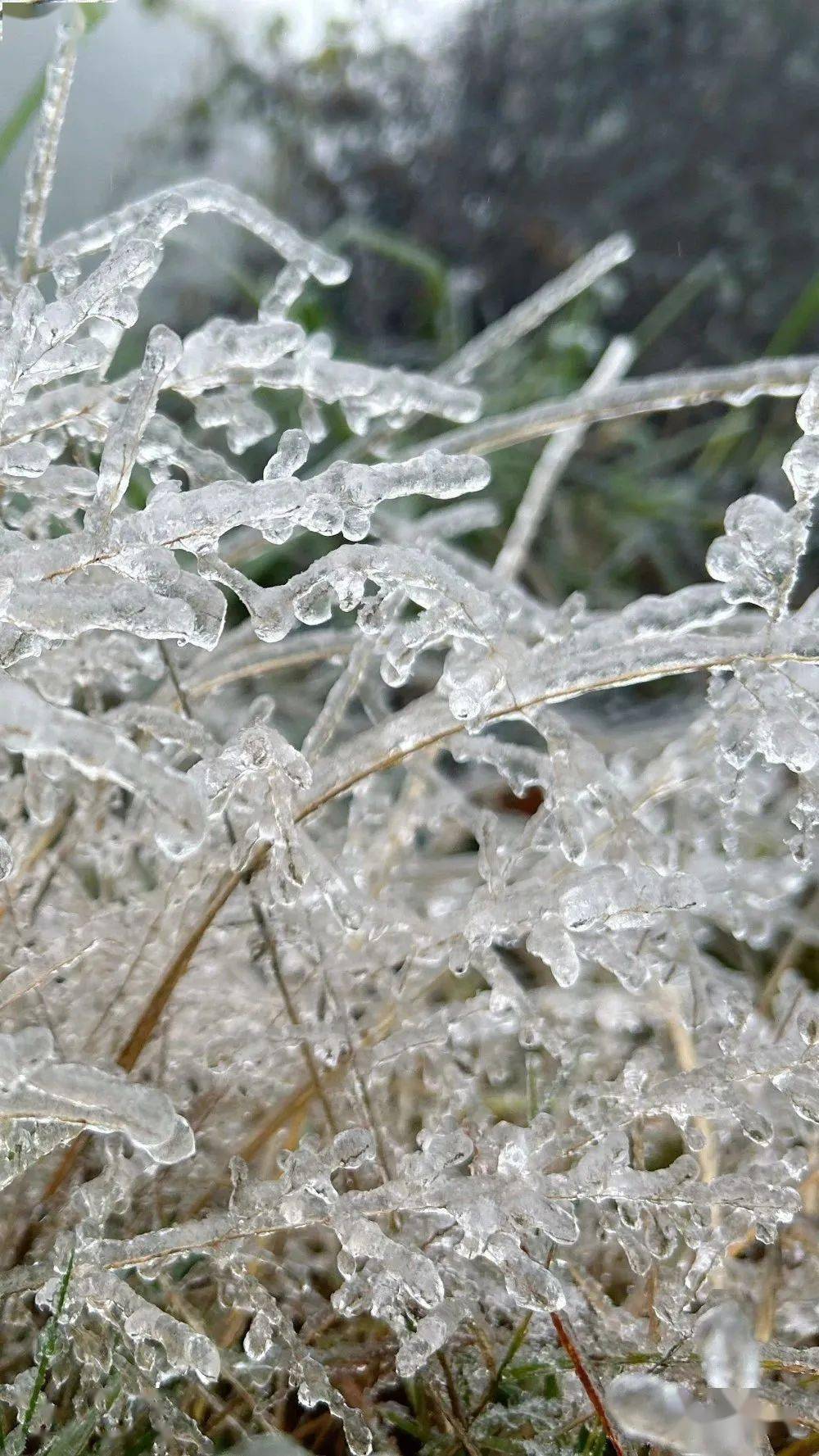 冰的世界,美极了_物体_建宁_冰晶