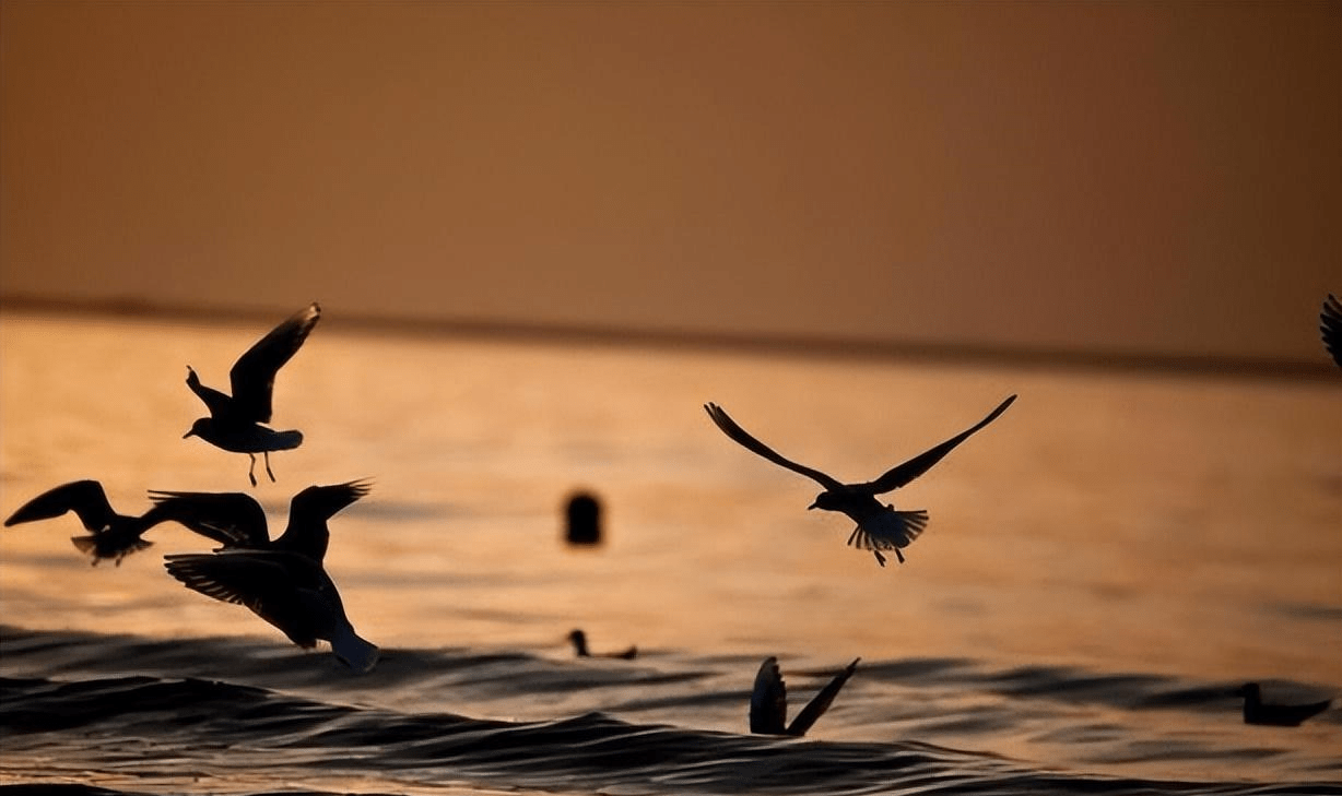 聪明人,一辈子有三不问,越不问越有福气_坏事_人生_因为