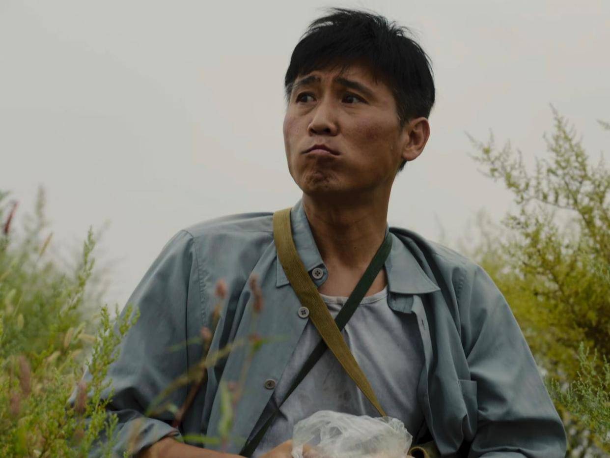 《山河锦绣》临近结局,柳大满身体出问题,赵书和功亏一篑_种植业_水稻