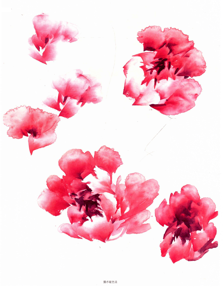 写意牡丹的十种画法_花瓣_花冠_变化