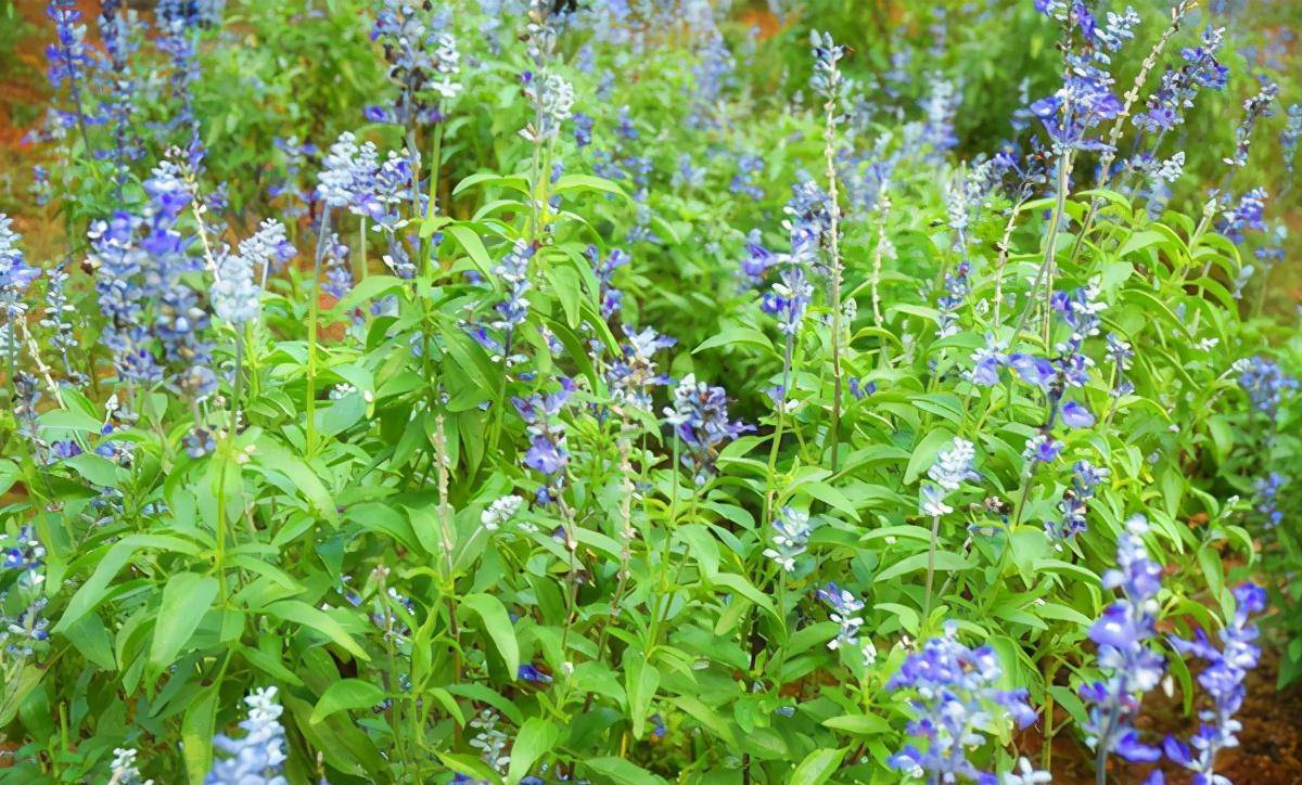 来广东德庆盘龙峡漂流!就问你敢不敢_景区_夏天_瀑布