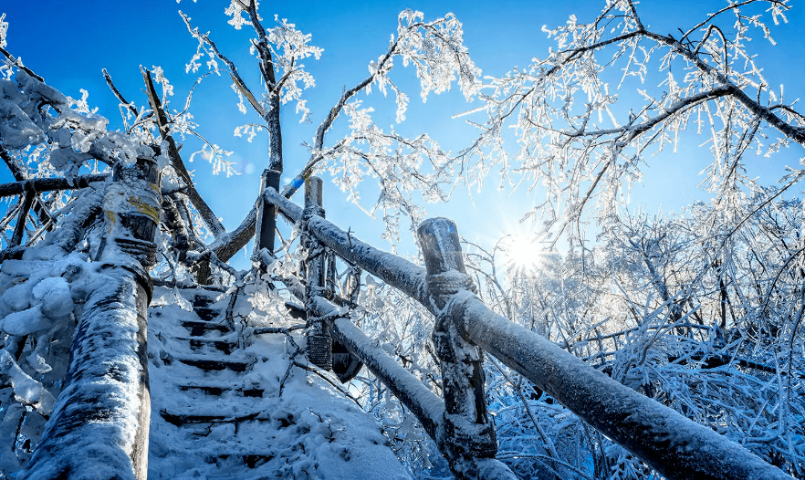 遐心寄與雲邊鶴,韻事閒聽月下簫.