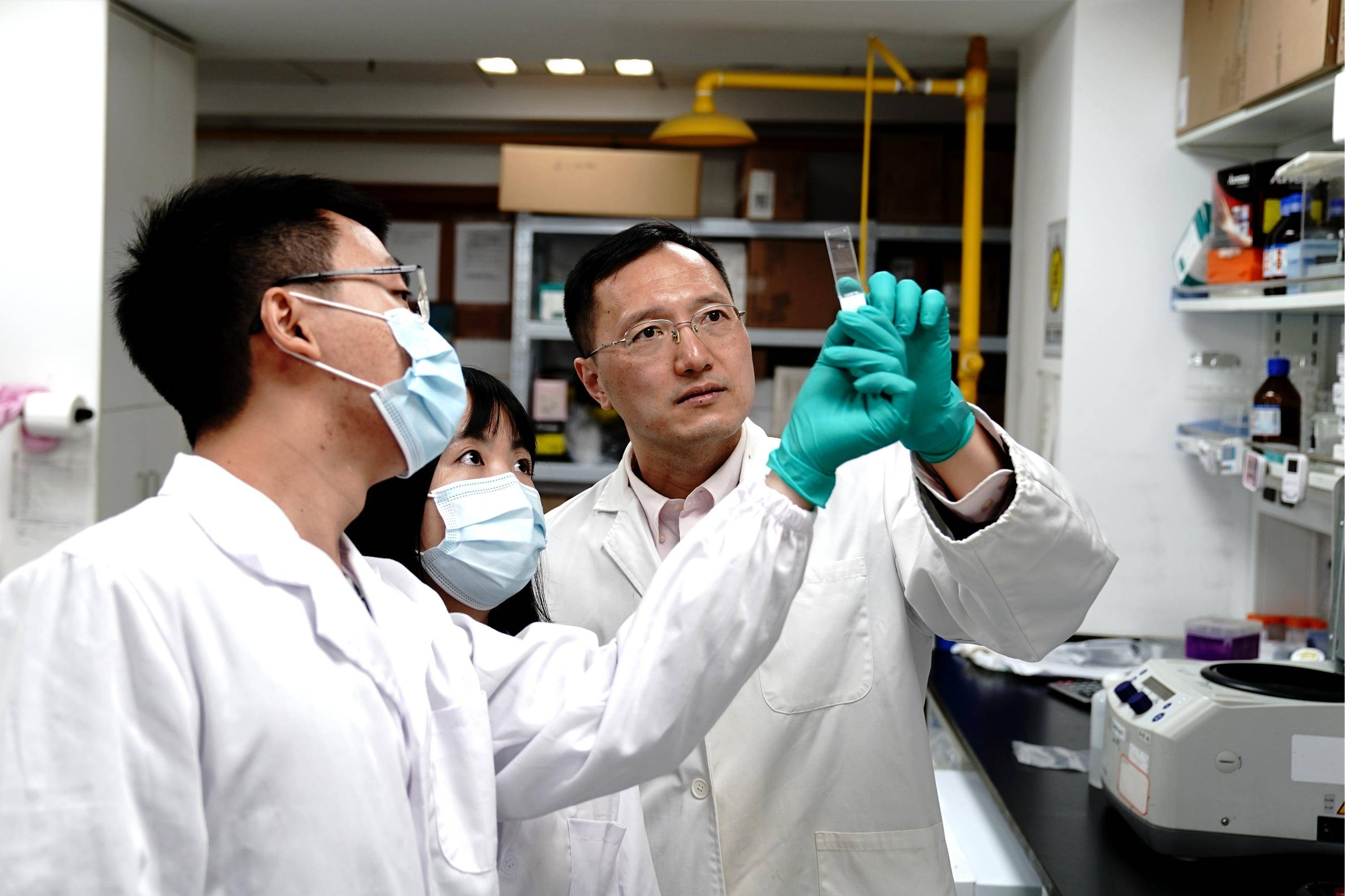 科学家利用创新技术揭示细胞也会"孟母三迁"_新华社_周斌_中国科学院
