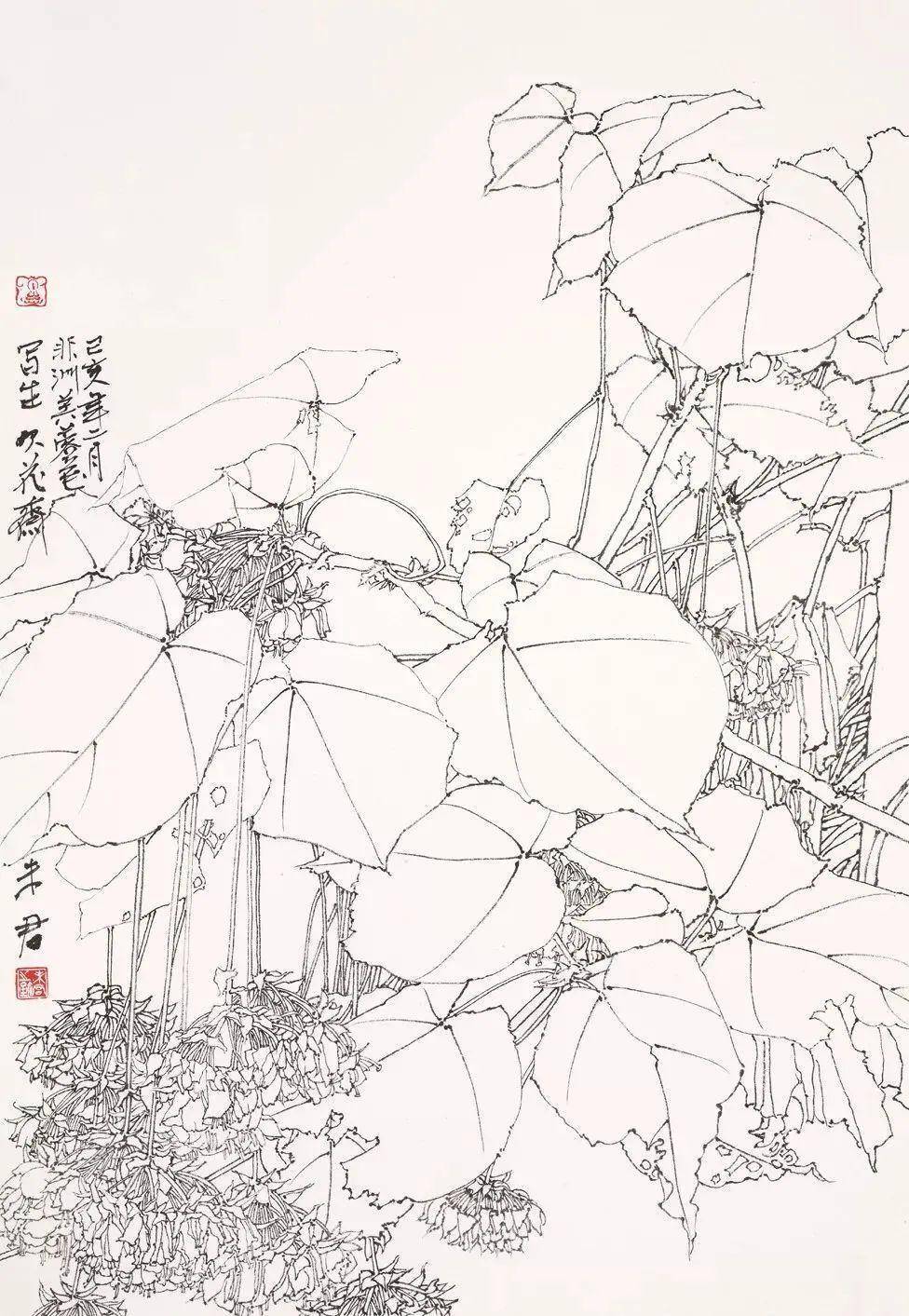 鹤望兰写生10.芭蕉写生11.棕榈果写生12.烟火花写生13.荷花写生14.