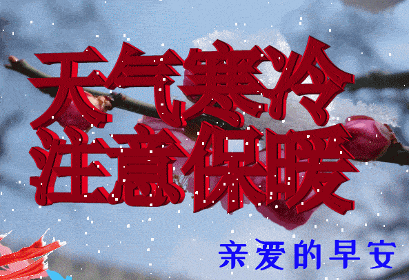 聊天图片_进行_研究人员_老人