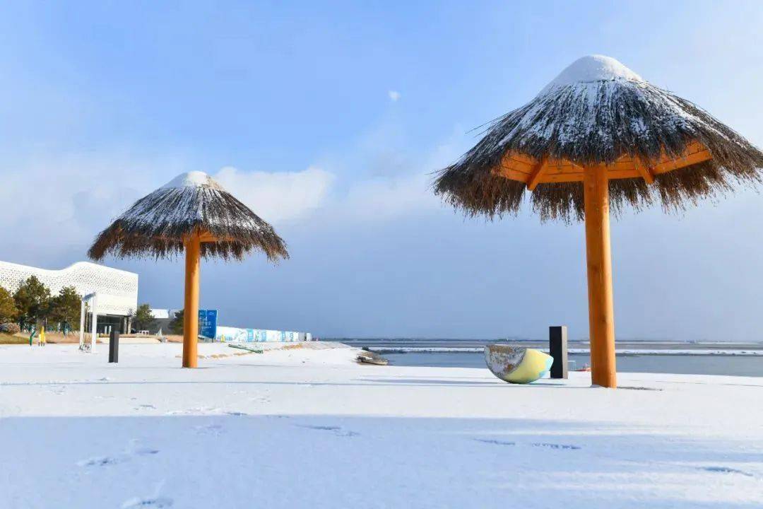 威海雪景海边图片