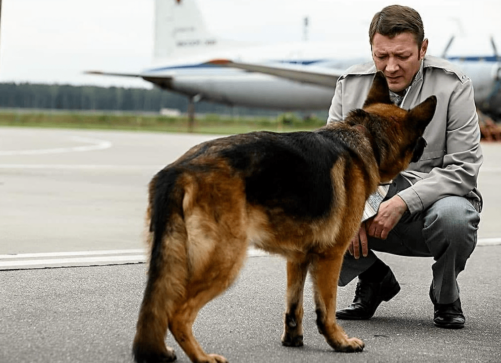 【新片推荐】如何评价俄罗斯电影《忠犬帕尔玛》?_科里亚_主人_机场