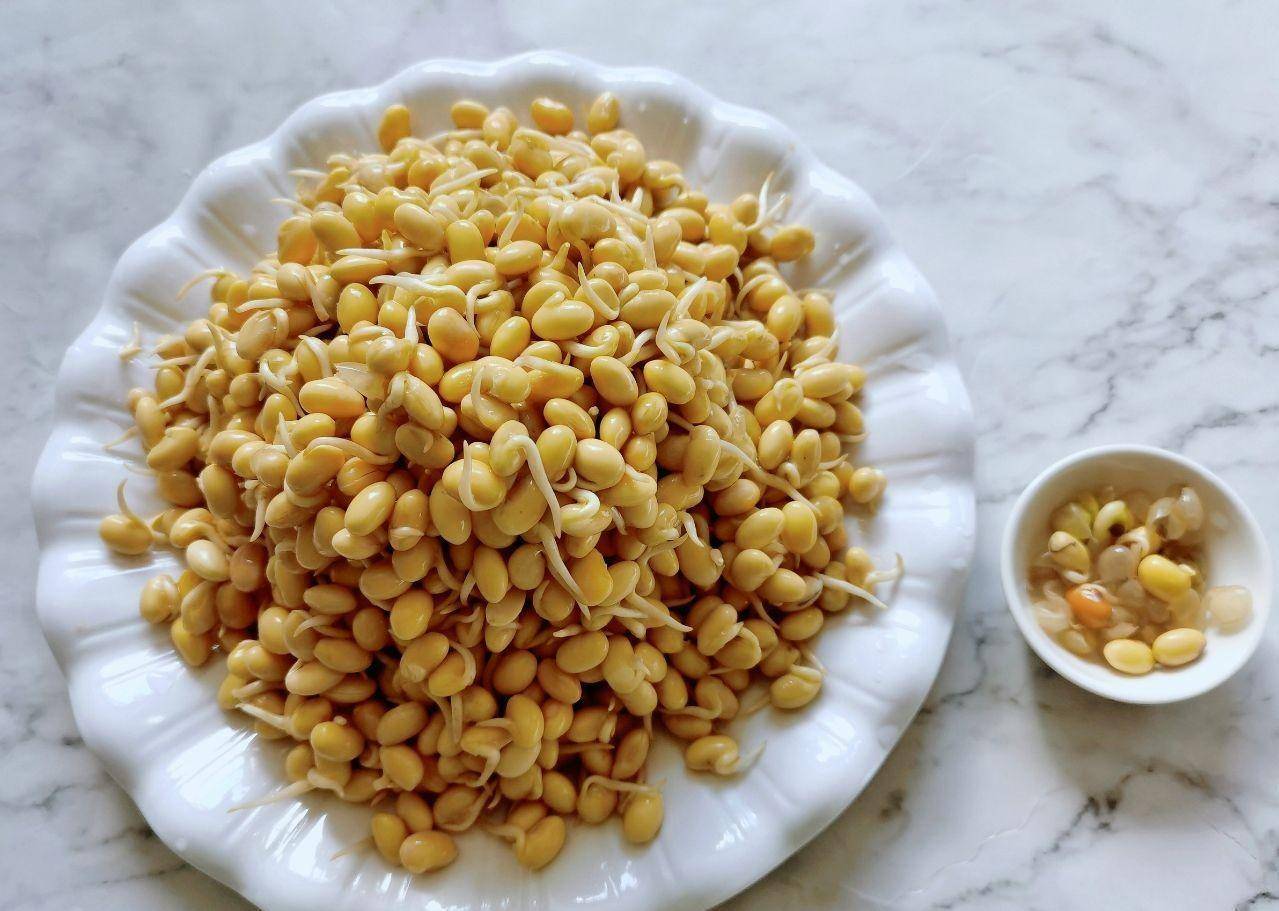 2,黄豆嘴儿用清水反复清洗几遍,洗的过程中顺便把坏的或不好的豆嘴儿