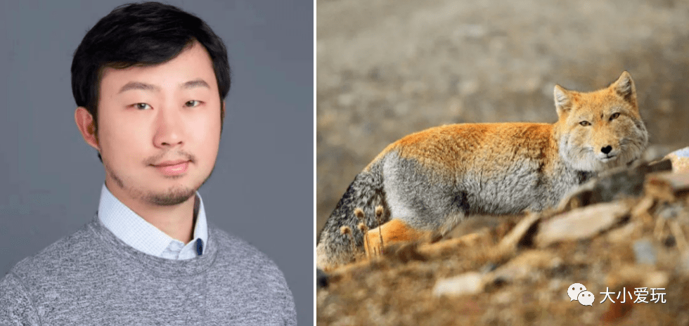 因为自嘲相貌撞脸了藏狐,所以网友们更喜欢亲切地叫他"狐老师"