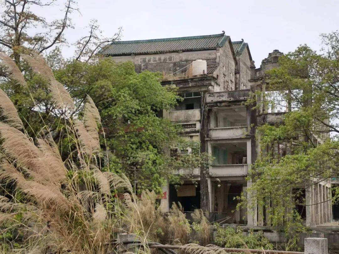 花城长篇 熊育群:金墟(节选 i)_司徒誉_家族_开发
