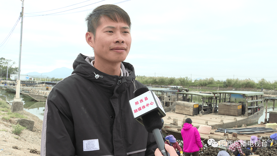 【蚝美阳西】15000亩红树林成就了优质的程村蚝