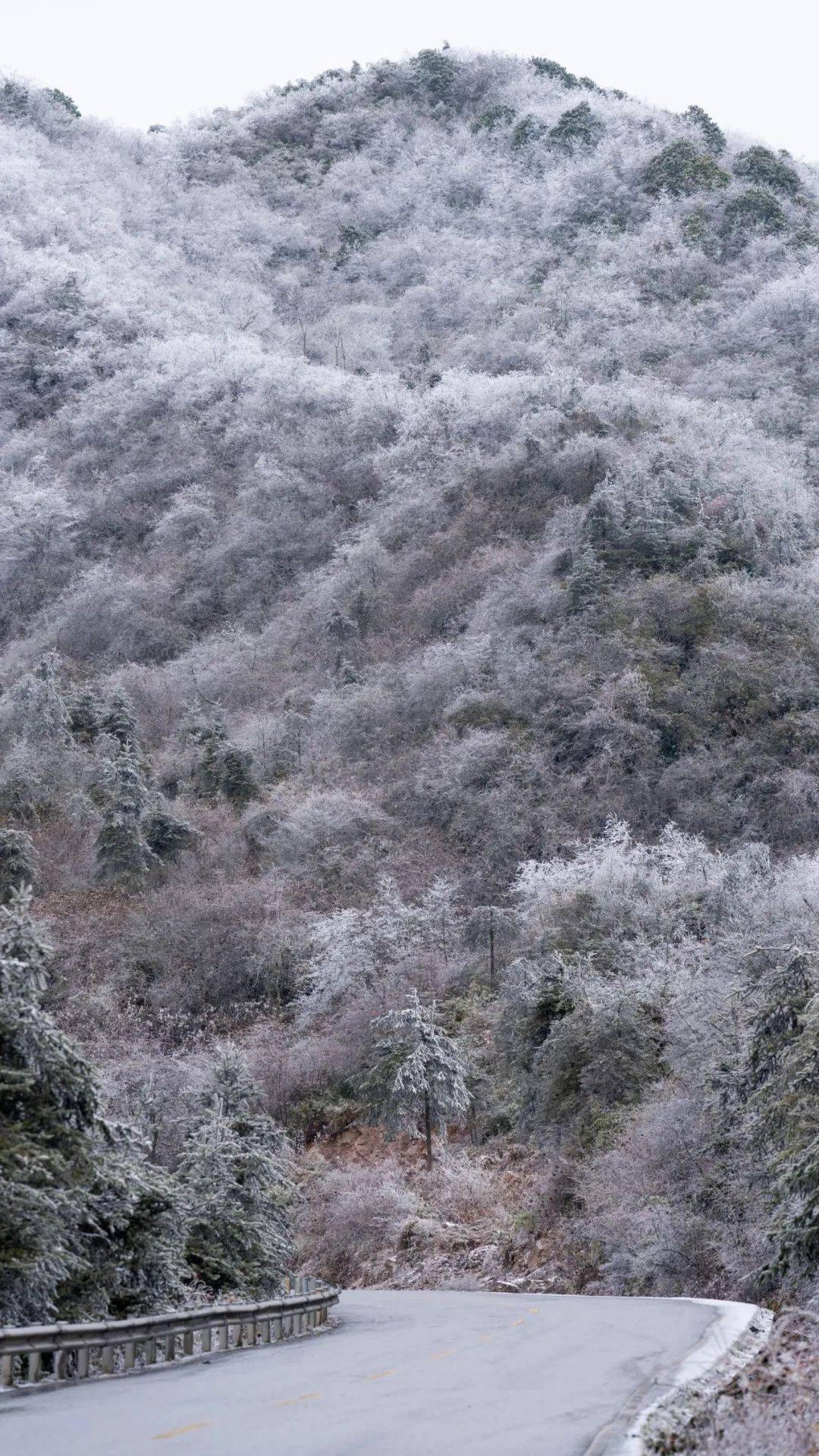 泥巴山图片大全图片