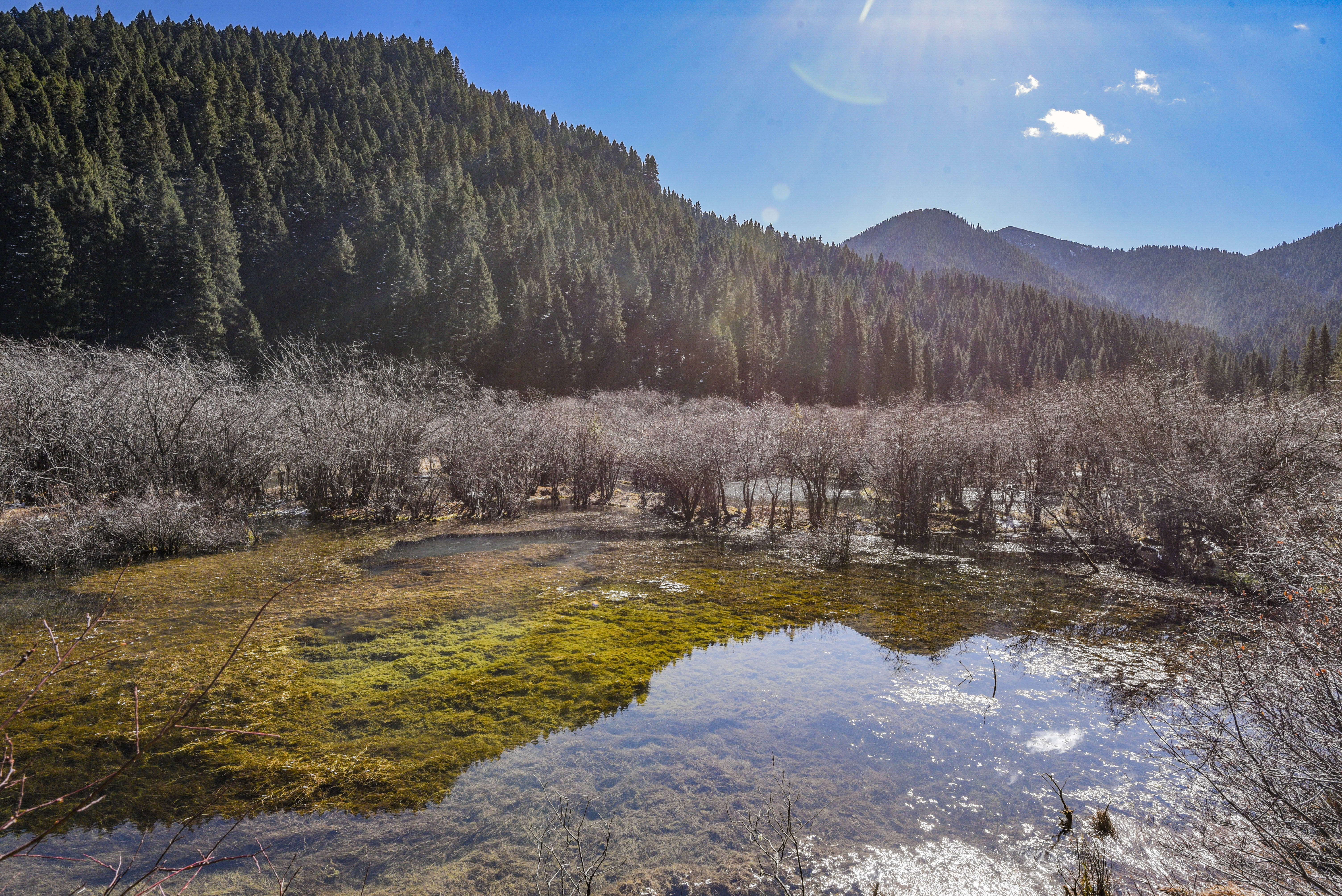 牟尼沟海拔图片