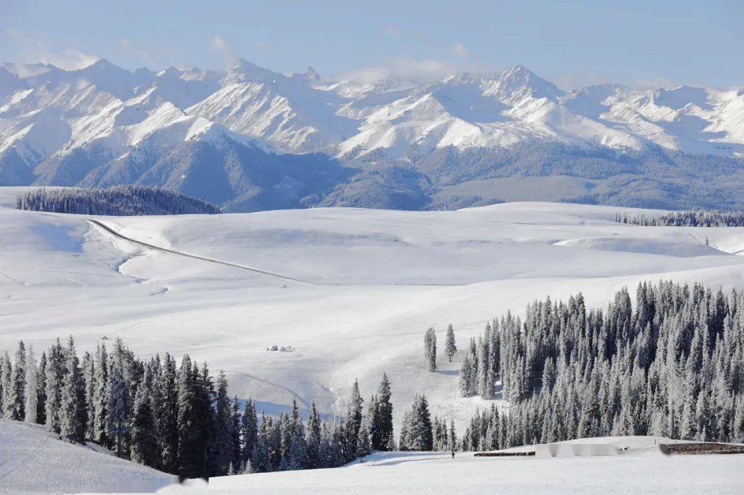 严俊琴)12月4日位于伊宁县的伊犁雅玛图国家湿地公园内的天鹅泉湿地