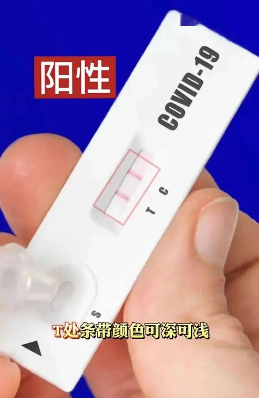 阴性结果"c"处显示出红色或紫色条带"t"处未显示条带.