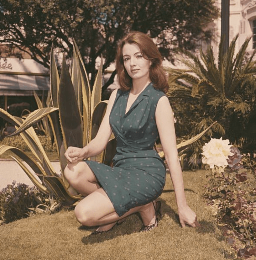 用美貌在英国政坛掀起巨浪,为何晚年沦为落魄大妈_克莉丝汀·基勒