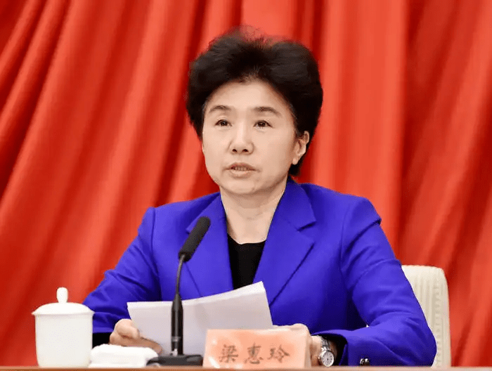 梁惠玲任黑龙江省代省长_胡昌升_党组书记_消息