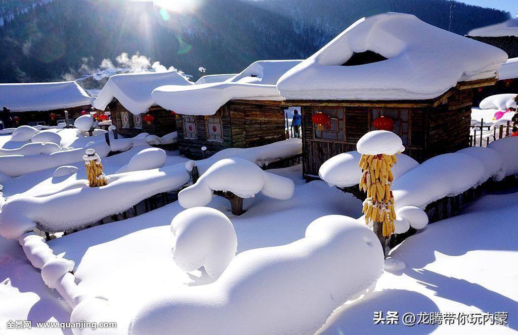 冰雪奇缘 穿越冰雪十里画廊 探秘东北虎 东北雪乡地域特色课程玩不停