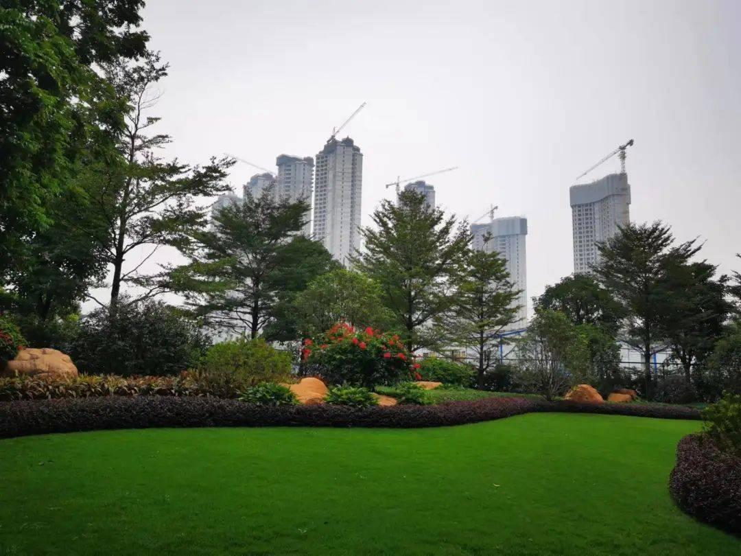 5~6万,科学城新盘星河湾萝峰,终于开盘啦!_价格确定_广州_售楼部