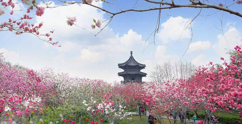 桃園是紀念孔尚任的主題公園,漫步園內,一邊聆聽崑曲庭院戲的婉轉曲調