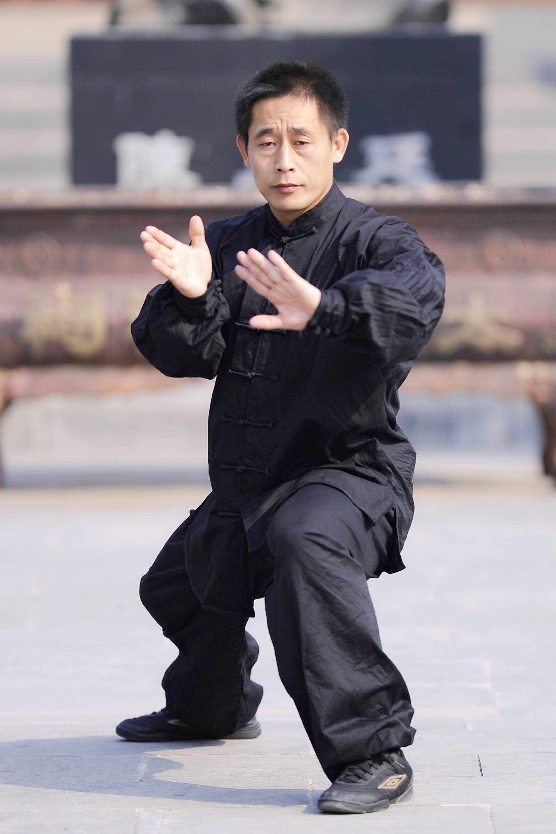 太极 #陈家沟 #陈小旺 #陈小星 #陈自强 #陈式太极拳 #人类非物质