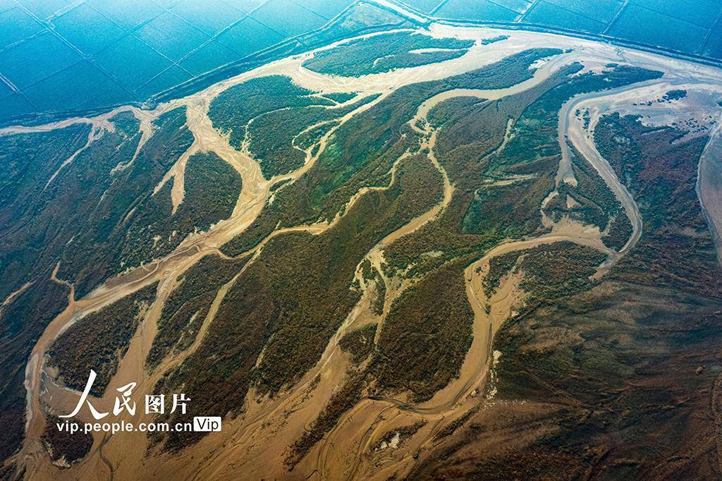 山西运城:黄河河道河汊纵横交错美如画_图片_万荣县_河床