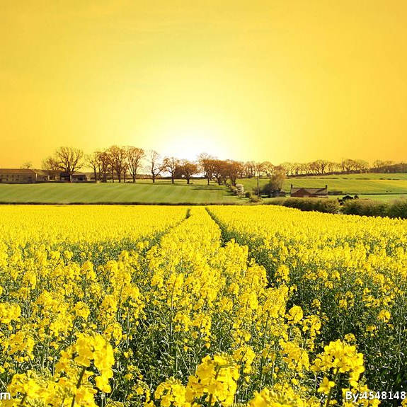 古代奇人:师旷_晋平公_音乐_清角