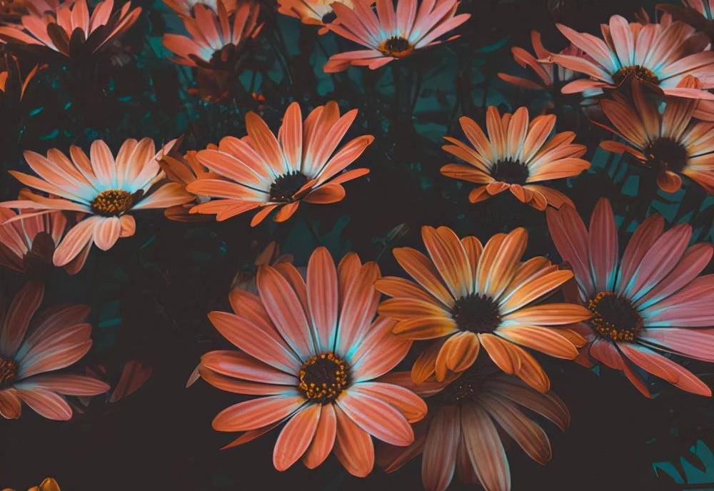 学:爱你入骨的男人,面对你时多半会有这些"身体语言"_女人_时候_小庞