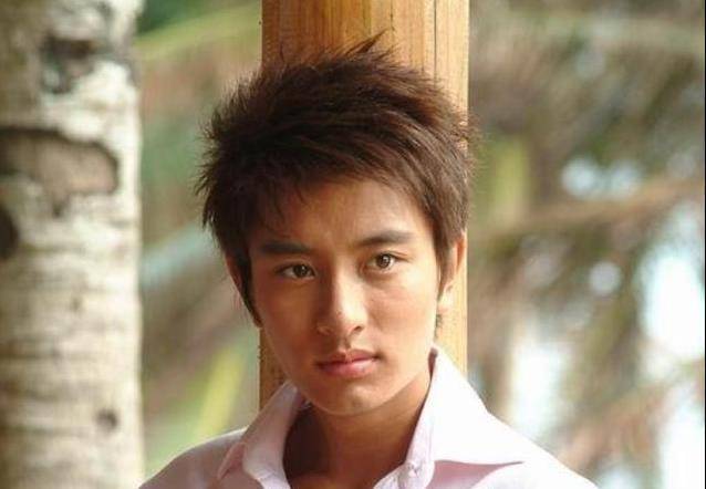 认出了杨四郎苏有朋,却没认出贾乃亮_表演_时候_作品