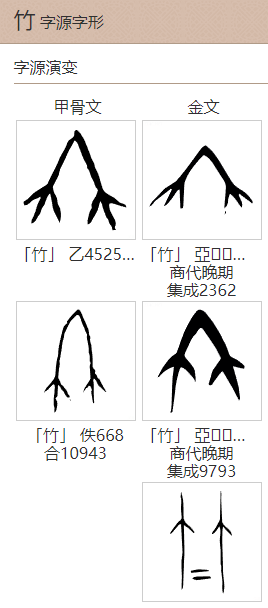 竹字头的演变过程图片图片